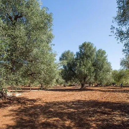 Vila Il Trullo Dell'ulivo Bianco Latiano